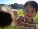 Ryall in Crissy Field / San Francisco / 2009